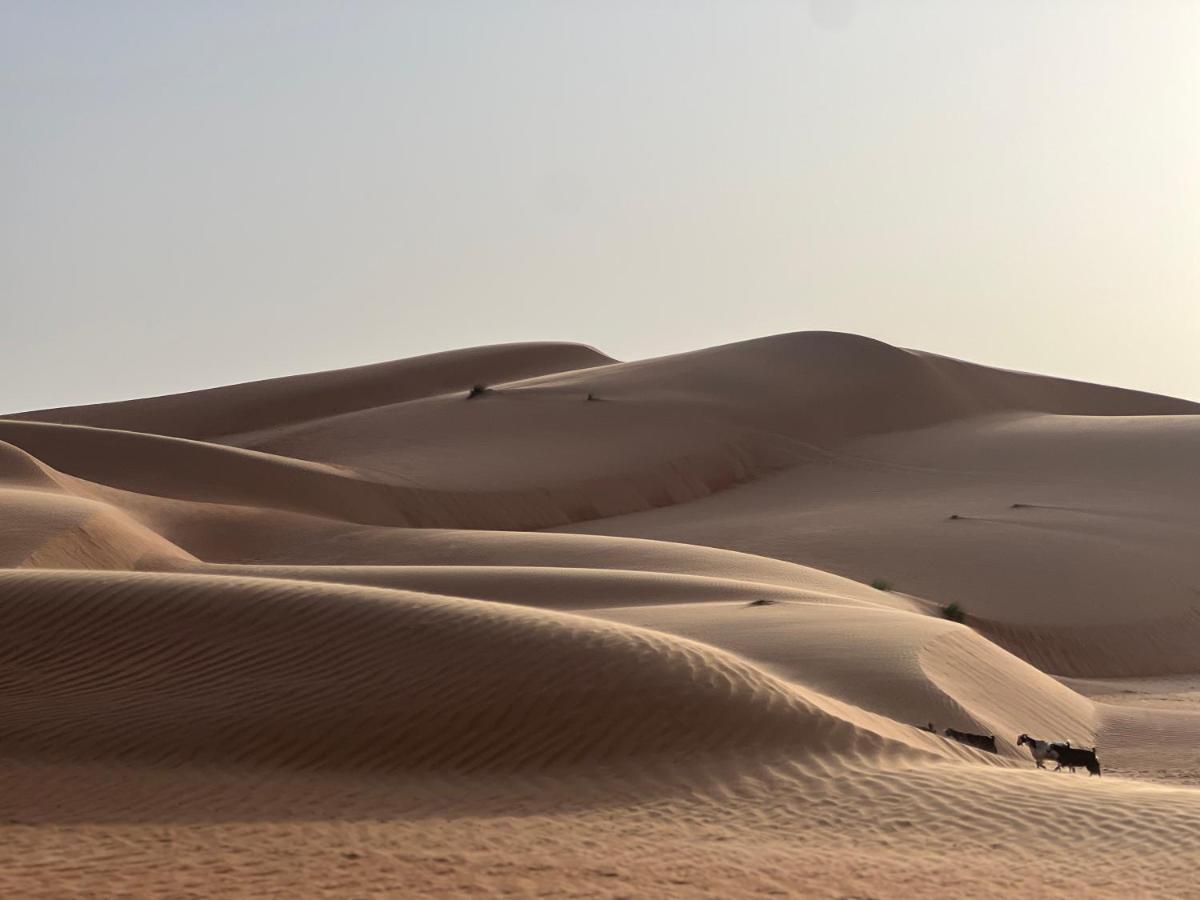 Thousand Stars Desert Camp Badīyah Εξωτερικό φωτογραφία