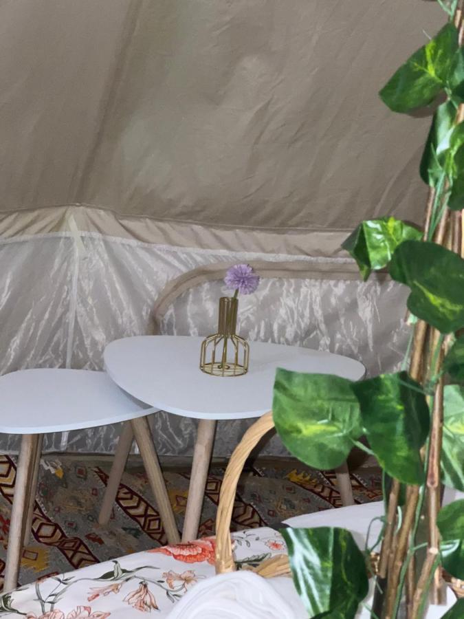 Thousand Stars Desert Camp Badīyah Εξωτερικό φωτογραφία