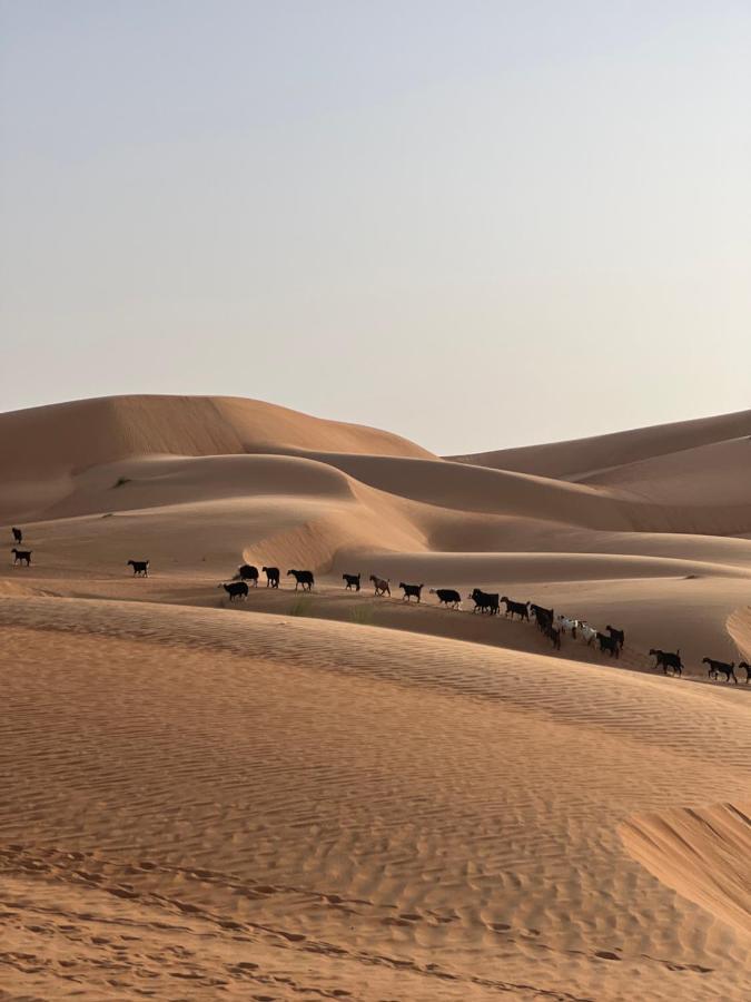 Thousand Stars Desert Camp Badīyah Εξωτερικό φωτογραφία