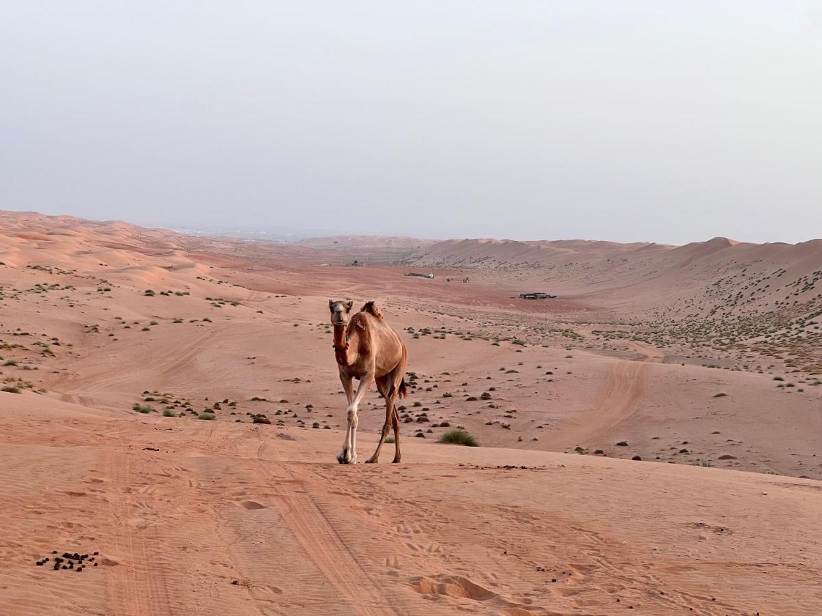 Thousand Stars Desert Camp Badīyah Εξωτερικό φωτογραφία