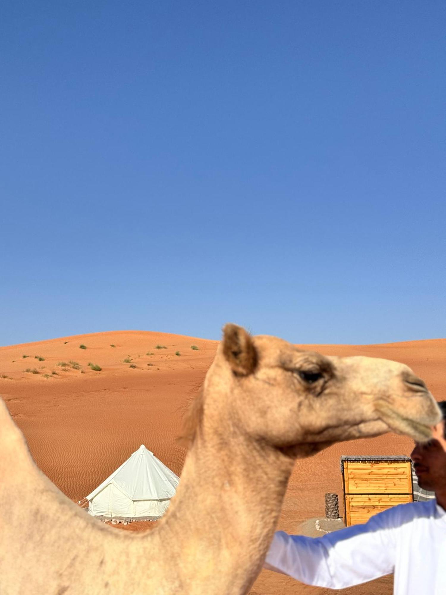 Thousand Stars Desert Camp Badīyah Εξωτερικό φωτογραφία