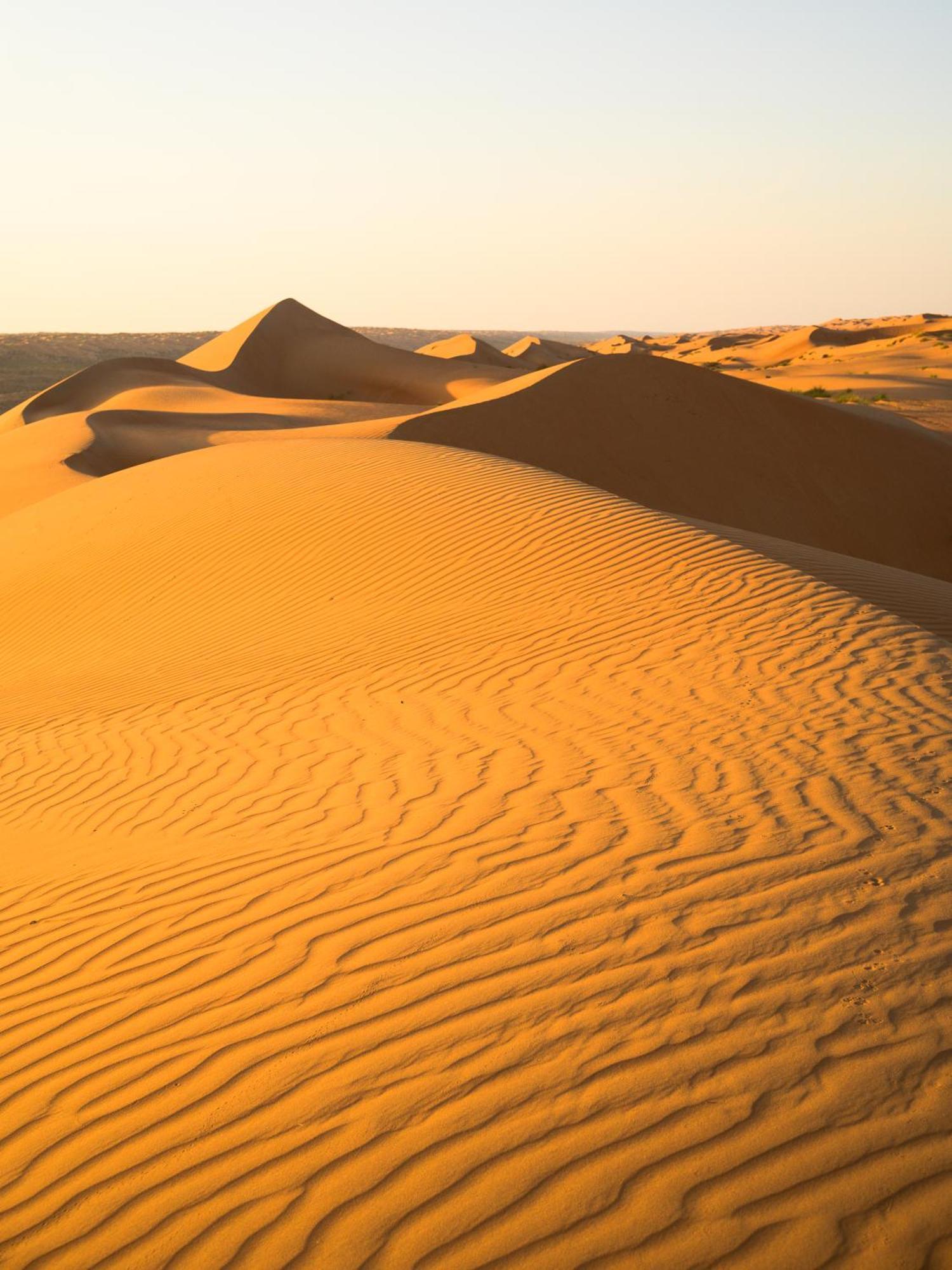 Thousand Stars Desert Camp Badīyah Εξωτερικό φωτογραφία